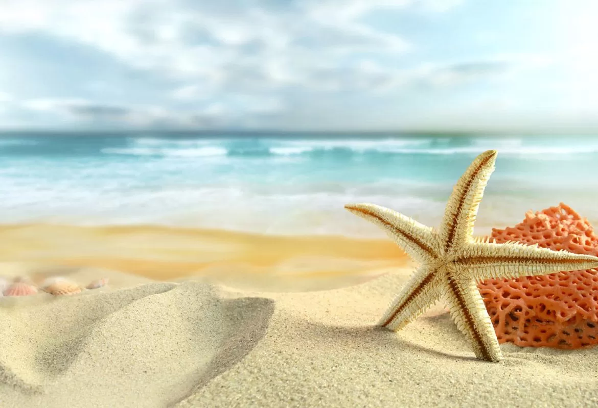 Du lịch Cát Bà 2025 mới nhất và đầy đủ từ A-Z